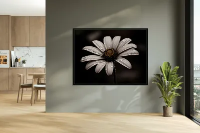 Petal Perspective 44 - Macro Floral Art Prints Reproduction