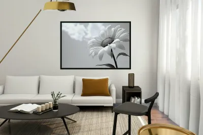 Helianthus Debilis - Botanical Sunflower Study Art Prints Reproduction