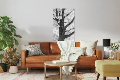 Branching Out in Timeless Black and White Elegance   Reproduction