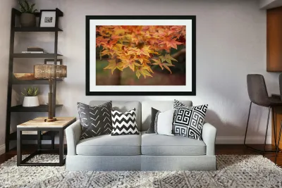 Turning Seasons Reproduction