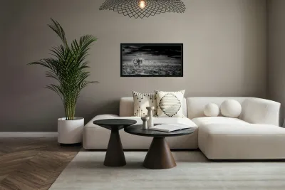 Textured Realms of Silence and Cloud Reproduction