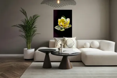 White Magnolia  Reproduction