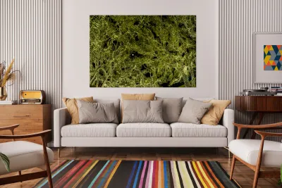 Holiday lights spectacular in trees of Johnson City Texas Reproduction