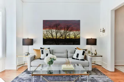 Dramatic sunset over Legacy Hills Park lake with details of tree Reproduction