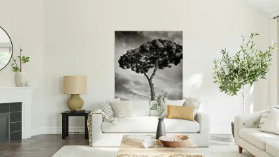 Roman Forum Trees Reproduction