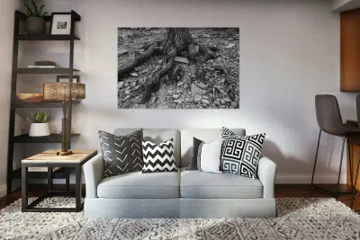 Tree Trunk Roots Exposed Reproduction