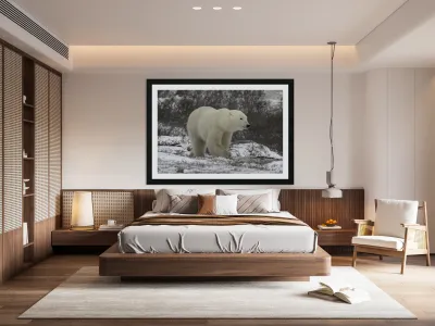 Polar Bear Reproduction