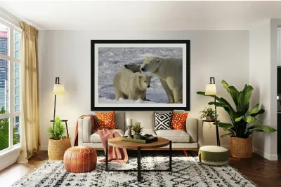 Polar Bear Mother and Cubs Reproduction