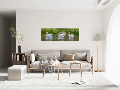 Pelicans 9837 Reproduction