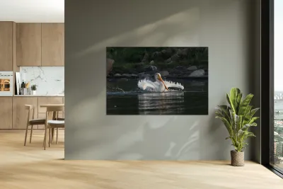 Pelicans 0292 Reproduction