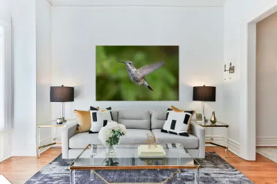 Female Ruby throated Hummingbird 1425 Reproduction