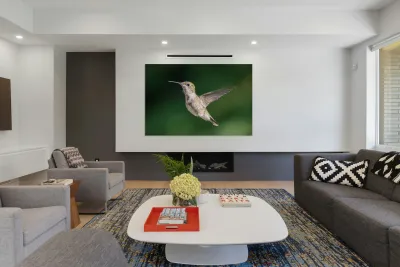 Female Ruby throated Hummingbird 0974 Reproduction