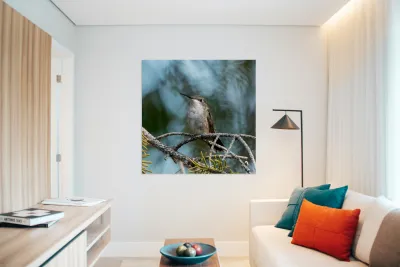 Female Ruby throated Hummingbird 1389 Reproduction