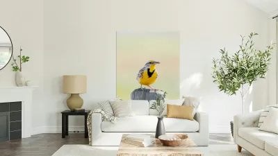 Western Meadowlark 0428 Reproduction