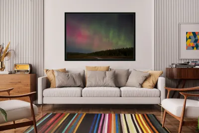 Oliphant Fen Aurora Reproduction