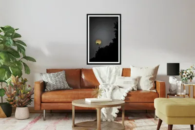 her rise Reproduction