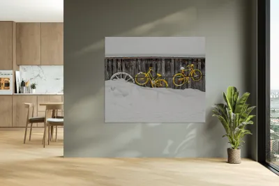 ZJS 9138 Reproduction