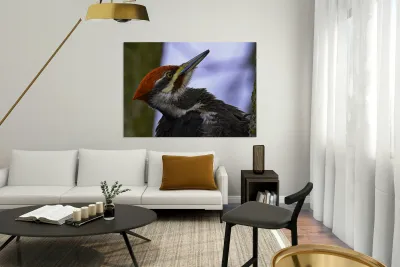 JBS 5301  Reproduction