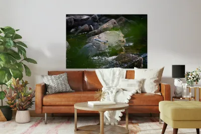 JBS 3491 2 Reproduction