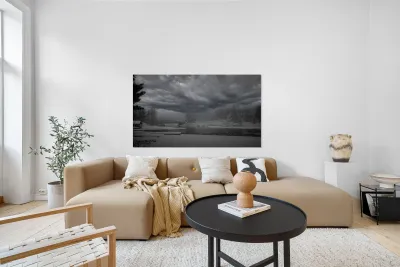 ZJS 6442  Reproduction