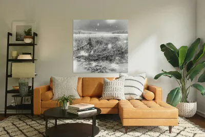 JBS 4080  Reproduction