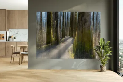 Brae Island ICM Reproduction