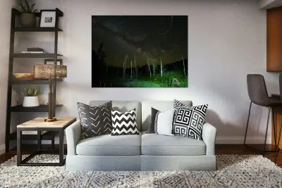 CRC 1493 Reproduction