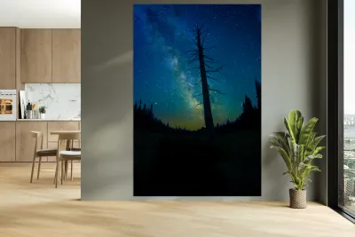 CRC 1662 Reproduction