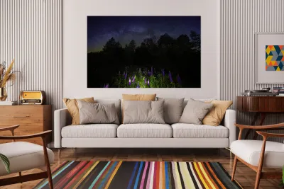 JBS 1800 Reproduction