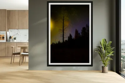 JBS 3723 Reproduction