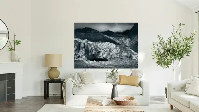 Fox Glacier Reproduction