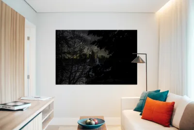 JBS 4554  Reproduction