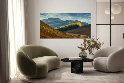 Tay Forest Edge Reproduction