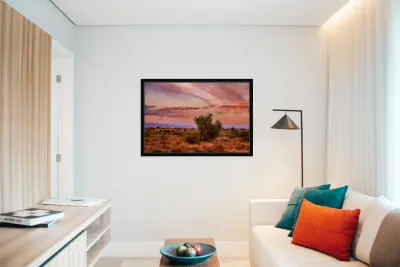 Whispers Through The Sunlit Canopy Reproduction