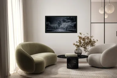 Illumination in Turmoil Reproduction