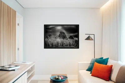 Sylvan Shadows: A Moody Encounter with Natures Drama in Custer  Reproduction