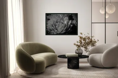 Natures Shadow Ballet Reproduction