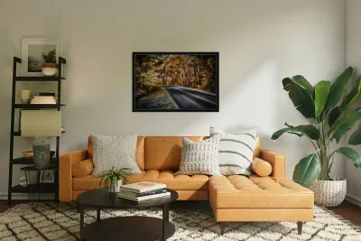 Ocala Secret: Infrared Curve Reproduction