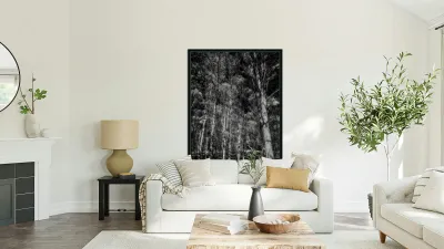 Tall Dark Symphony: A Winters Tale in Infrared Black and White Reproduction