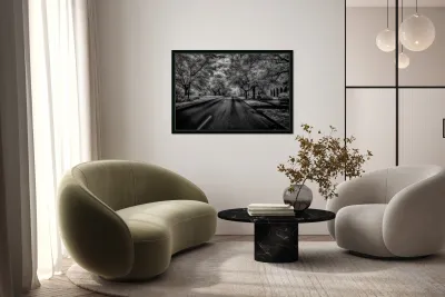 Eufaula Elegance: A Monochromatic Journey Through Time Reproduction