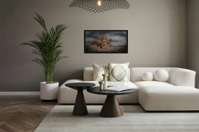 Lone Tree in Saint Bernards 2 Reproduction