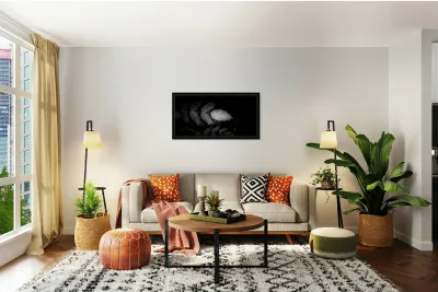 Spotlight on Natures Simplistic Beauty Reproduction