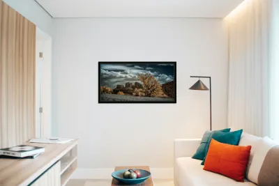 Solitary Desert Dreams Reproduction