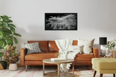 Desert Majesties in Monochrome Reproduction