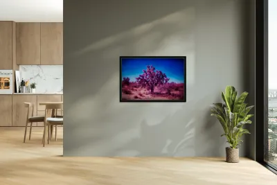 Whispers of the Desert Dream Reproduction