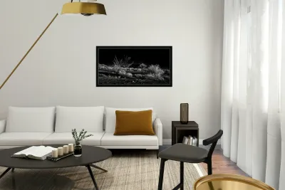 Deserts Silent Play of Light and Shadow Reproduction