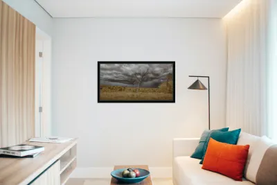 Rooted in the Tempest Reproduction