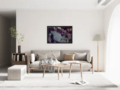 Desert Shadows: Purple Infrared Texas Cactus Reproduction