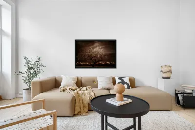 Crown Light Reproduction