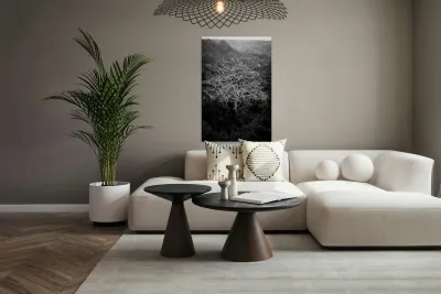 Tubarans Silent Tree Song Reproduction